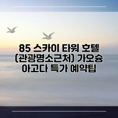 85 스카이 타워 호텔 (관광명소근처) 가오슝 아고다 특가 예약팁