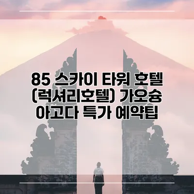85 스카이 타워 호텔 (럭셔리호텔) 가오슝 아고다 특가 예약팁