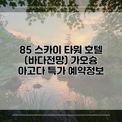 85 스카이 타워 호텔 (바다전망) 가오슝 아고다 특가 예약정보