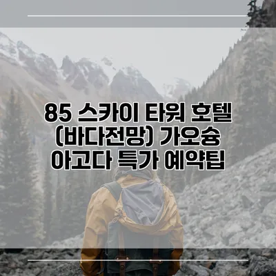 85 스카이 타워 호텔 (바다전망) 가오슝 아고다 특가 예약팁