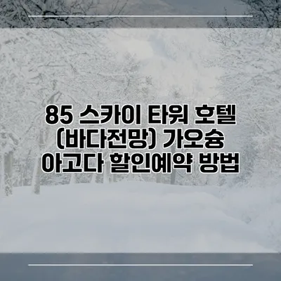 85 스카이 타워 호텔 (바다전망) 가오슝 아고다 할인예약 방법