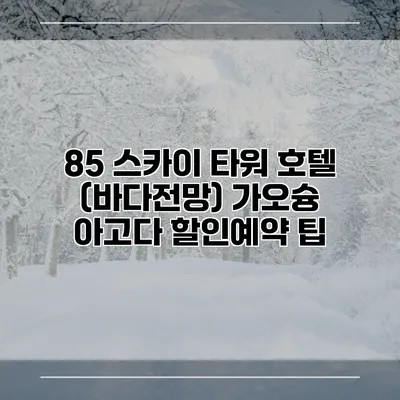 85 스카이 타워 호텔 (바다전망) 가오슝 아고다 할인예약 팁