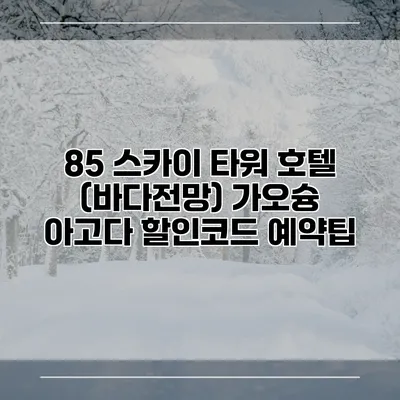 85 스카이 타워 호텔 (바다전망) 가오슝 아고다 할인코드 예약팁