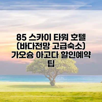 85 스카이 타워 호텔 (바다전망 고급숙소) 가오슝 아고다 할인예약 팁