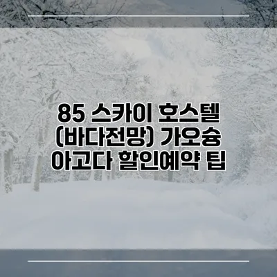 85 스카이 호스텔 (바다전망) 가오슝 아고다 할인예약 팁