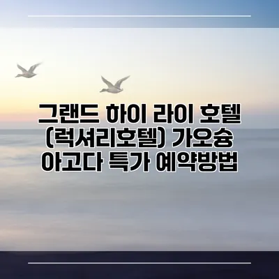 그랜드 하이 라이 호텔 (럭셔리호텔) 가오슝 아고다 특가 예약방법