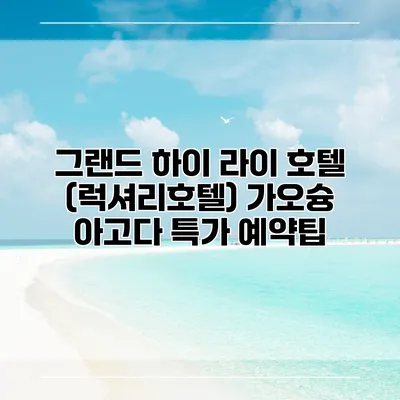 그랜드 하이 라이 호텔 (럭셔리호텔) 가오슝 아고다 특가 예약팁