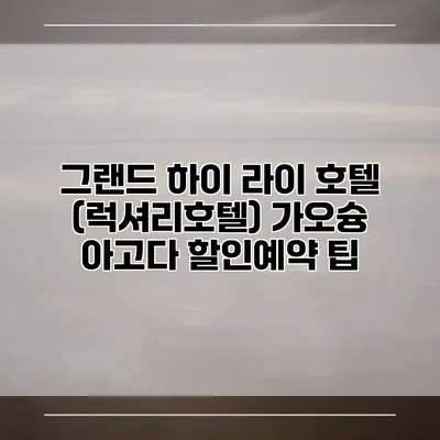 그랜드 하이 라이 호텔 (럭셔리호텔) 가오슝 아고다 할인예약 팁
