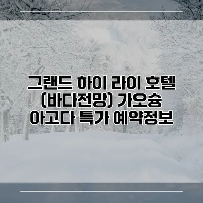 그랜드 하이 라이 호텔 (바다전망) 가오슝 아고다 특가 예약정보