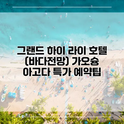 그랜드 하이 라이 호텔 (바다전망) 가오슝 아고다 특가 예약팁