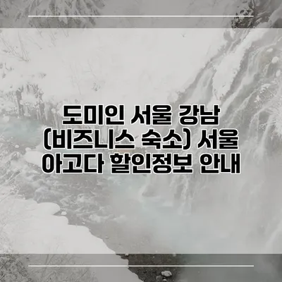 도미인 서울 강남 (비즈니스 숙소) 서울 아고다 할인정보 안내