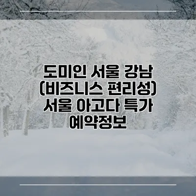 도미인 서울 강남 (비즈니스 편리성) 서울 아고다 특가 예약정보