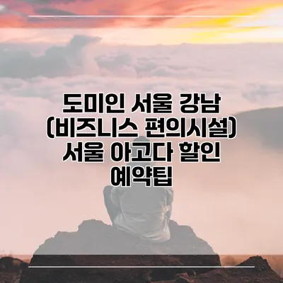 도미인 서울 강남 (비즈니스 편의시설) 서울 아고다 할인 예약팁