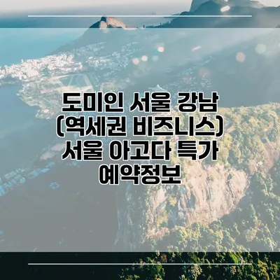 도미인 서울 강남 (역세권 비즈니스) 서울 아고다 특가 예약정보
