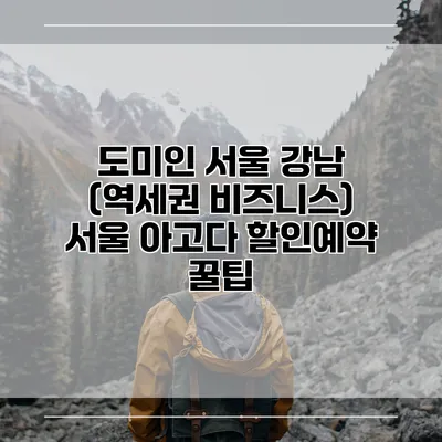 도미인 서울 강남 (역세권 비즈니스) 서울 아고다 할인예약 꿀팁