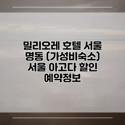 밀리오레 호텔 서울 명동 (가성비숙소) 서울 아고다 할인 예약정보