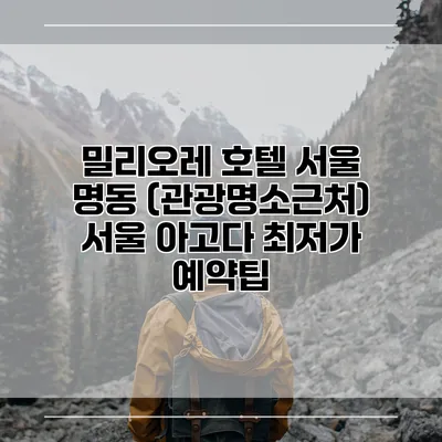 밀리오레 호텔 서울 명동 (관광명소근처) 서울 아고다 최저가 예약팁