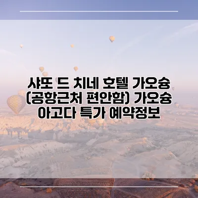 샤또 드 치네 호텔 가오슝 (공항근처 편안함) 가오슝 아고다 특가 예약정보