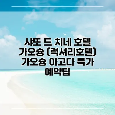 샤또 드 치네 호텔 가오슝 (럭셔리호텔) 가오슝 아고다 특가 예약팁
