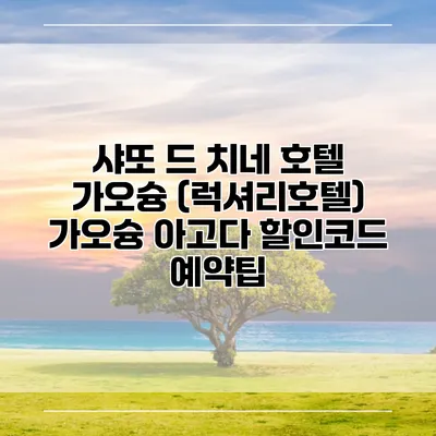 샤또 드 치네 호텔 가오슝 (럭셔리호텔) 가오슝 아고다 할인코드 예약팁