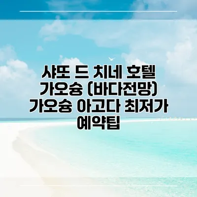 샤또 드 치네 호텔 가오슝 (바다전망) 가오슝 아고다 최저가 예약팁