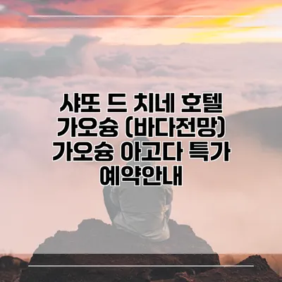 샤또 드 치네 호텔 가오슝 (바다전망) 가오슝 아고다 특가 예약안내