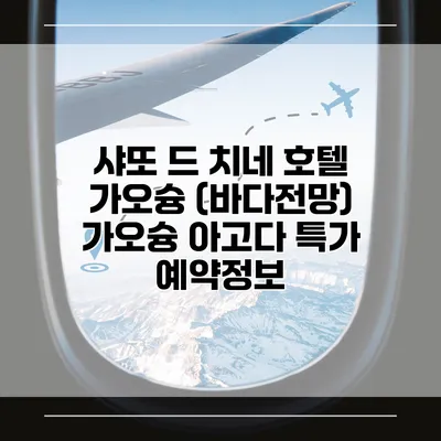 샤또 드 치네 호텔 가오슝 (바다전망) 가오슝 아고다 특가 예약정보