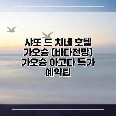 샤또 드 치네 호텔 가오슝 (바다전망) 가오슝 아고다 특가 예약팁
