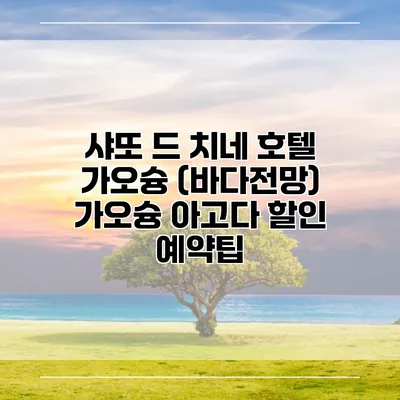 샤또 드 치네 호텔 가오슝 (바다전망) 가오슝 아고다 할인 예약팁