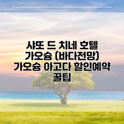 샤또 드 치네 호텔 가오슝 (바다전망) 가오슝 아고다 할인예약 꿀팁