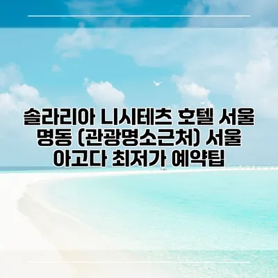 솔라리아 니시테츠 호텔 서울 명동 (관광명소근처) 서울 아고다 최저가 예약팁