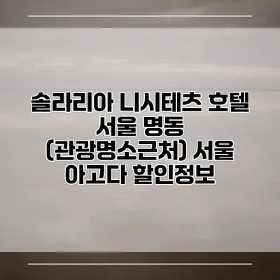 솔라리아 니시테츠 호텔 서울 명동 (관광명소근처) 서울 아고다 할인정보