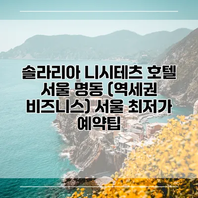 솔라리아 니시테츠 호텔 서울 명동 (역세권 비즈니스) 서울 최저가 예약팁