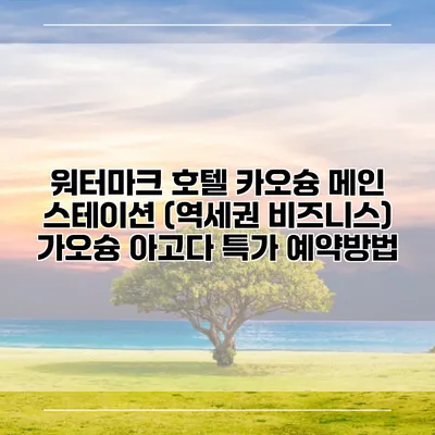 워터마크 호텔 카오슝 메인 스테이션 (역세권 비즈니스) 가오슝 아고다 특가 예약방법