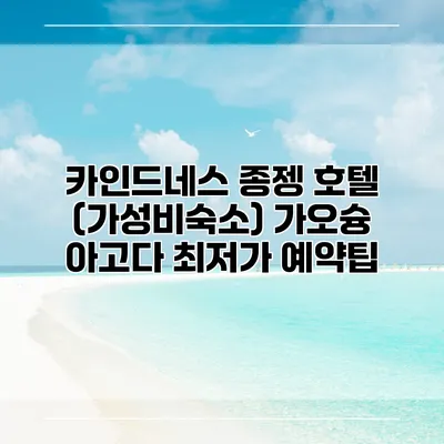 카인드네스 종젱 호텔 (가성비숙소) 가오슝 아고다 최저가 예약팁