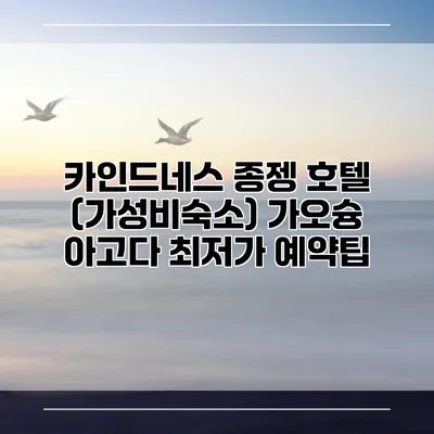 카인드네스 종젱 호텔 (가성비숙소) 가오슝 아고다 최저가 예약팁