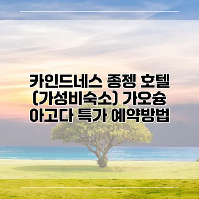 카인드네스 종젱 호텔 (가성비숙소) 가오슝 아고다 특가 예약방법