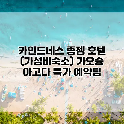 카인드네스 종젱 호텔 (가성비숙소) 가오슝 아고다 특가 예약팁
