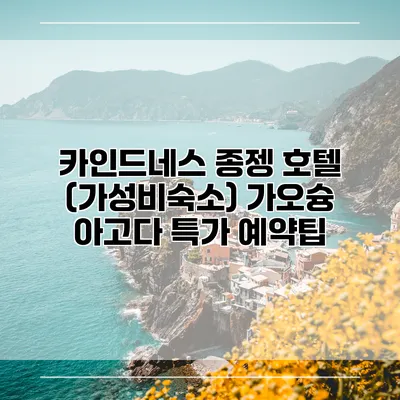 카인드네스 종젱 호텔 (가성비숙소) 가오슝 아고다 특가 예약팁
