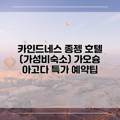 카인드네스 종젱 호텔 (가성비숙소) 가오슝 아고다 특가 예약팁