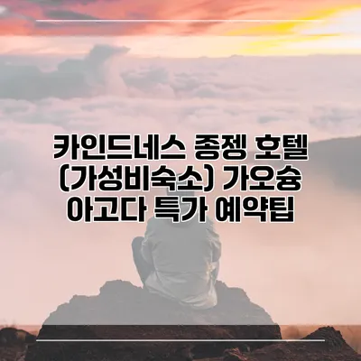 카인드네스 종젱 호텔 (가성비숙소) 가오슝 아고다 특가 예약팁