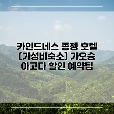 카인드네스 종젱 호텔 (가성비숙소) 가오슝 아고다 할인 예약팁