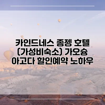 카인드네스 종젱 호텔 (가성비숙소) 가오슝 아고다 할인예약 노하우