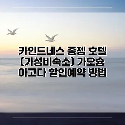 카인드네스 종젱 호텔 (가성비숙소) 가오슝 아고다 할인예약 방법