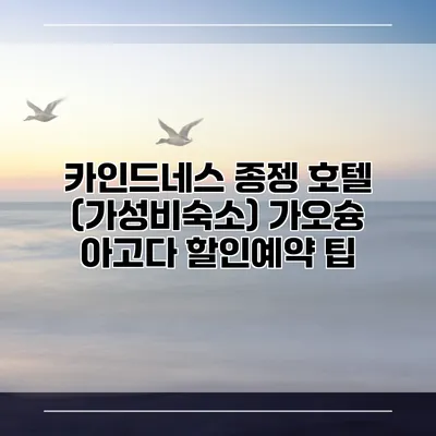카인드네스 종젱 호텔 (가성비숙소) 가오슝 아고다 할인예약 팁