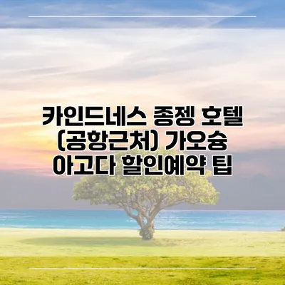 카인드네스 종젱 호텔 (공항근처) 가오슝 아고다 할인예약 팁