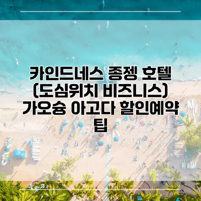 카인드네스 종젱 호텔 (도심위치 비즈니스) 가오슝 아고다 할인예약 팁