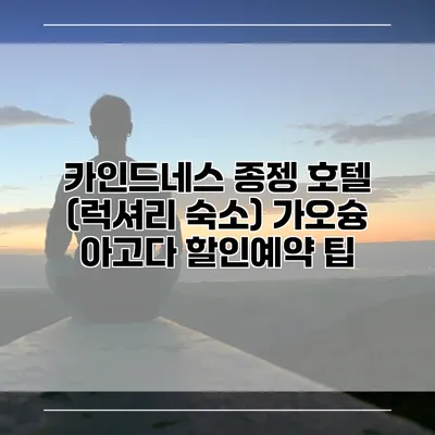 카인드네스 종젱 호텔 (럭셔리 숙소) 가오슝 아고다 할인예약 팁