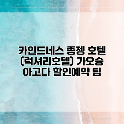 카인드네스 종젱 호텔 (럭셔리호텔) 가오슝 아고다 할인예약 팁