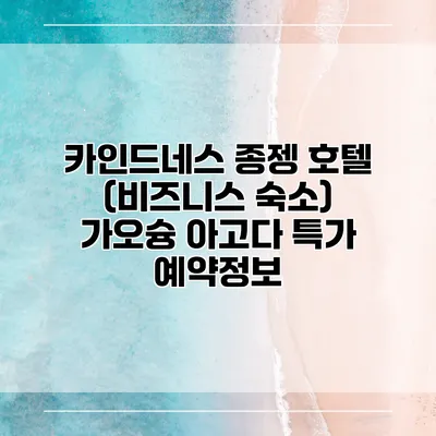 카인드네스 종젱 호텔 (비즈니스 숙소) 가오슝 아고다 특가 예약정보